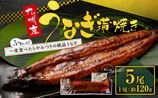 CS-306-03 【通年受付】九州産うなぎ蒲焼き 5尾 合計約600g(約120g×5尾) タレ付鹿児島県薩摩川内市33000魚介・海産物うなぎ