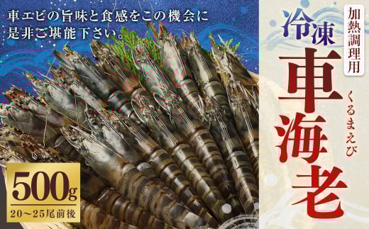 ZS-951 冷凍車エビ 約500g  (加熱調理用)鹿児島県薩摩川内市9000魚介・海産物エビ