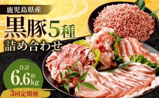 FS-309 【3ヶ月定期便】鹿児島県産黒豚 5種詰合せ(約2.2kg×3回)鹿児島県薩摩川内市63000肉豚肉