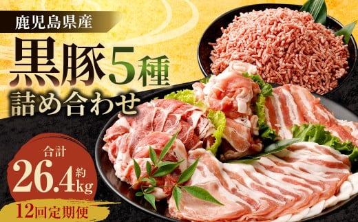 y12ցzY  5l(2.2kg×12)@  ؓ [X [X o ؂藎Ƃ ~`   ց@KS-601Fs260000ؓ