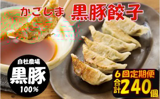 ES-503 【6回定期便】かごしま黒豚餃子 合計240個 ぎょうざ ギョーザ 薩摩八重ファーム 工房みかく亭鹿児島県薩摩川内市55000鍋セット・総菜・加工食品総菜