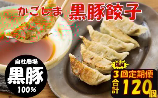 BS-819 【隔月3回定期便】かごしま黒豚餃子 合計120個 ぎょうざ ギョーザ 薩摩八重ファーム 工房みかく亭鹿児島県薩摩川内市28000鍋セット・総菜・加工食品総菜