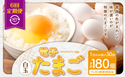 BS-824 【6ヶ月定期便】 電子たまご(白玉) 合計180個(30個×6回) 卵 たまご 白玉 定期鹿児島県薩摩川内市28000卵・乳製品卵(鶏、烏骨鶏等)