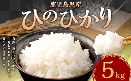 【新米先行予約】【KODAMAFARMS】鹿児島県産 ひのひかり 5kg KODA米 米 新米 精米 白米 お米 【2026年1月下旬以降順次発送】 AS-365鹿児島県薩摩川内市13000米・パン白米