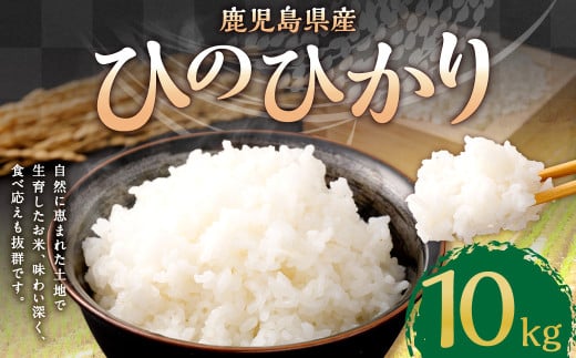 【新米先行予約】【KODAMAFARMS】鹿児島県産 ひのひかり 10kg(5kg×2袋) KODA米 米 新米 精米 白米 お米 【2026年1月下旬以降順次発送】 BS-642鹿児島県薩摩川内市26000米・パン白米