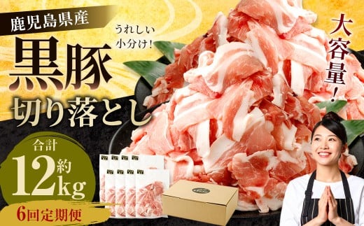 【6ヶ月定期便】鹿児島県産黒豚 切り落とし 合計12kg(2kg×6回) 鹿児島 黒豚 切り落とし 小分け 定期便 6回 豚肉 ウデ肉 肩肉 GSR-032鹿児島県薩摩川内市60000肉豚肉