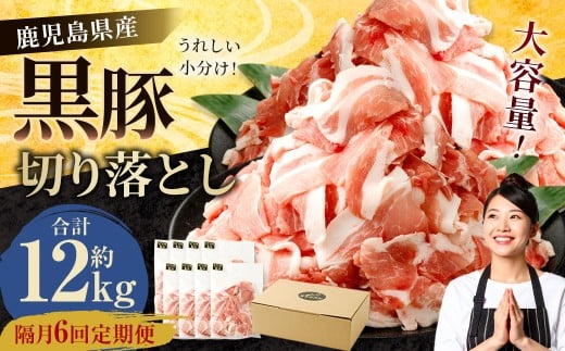 【隔月6回定期便】鹿児島県産黒豚 切り落とし 合計12kg(2kg×6回) 鹿児島 黒豚 切り落とし 小分け 隔月 定期便 6回 豚肉 ウデ肉 肩肉 GSR-033鹿児島県薩摩川内市60000肉豚肉