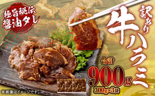 やわらか 牛ハラミ(サガリ)肉 極旨秘伝醤油タレ漬け 合計900g(300g×3袋)【訳あり】ハラミ 牛肉 ZS-803鹿児島県薩摩川内市8000肉牛肉