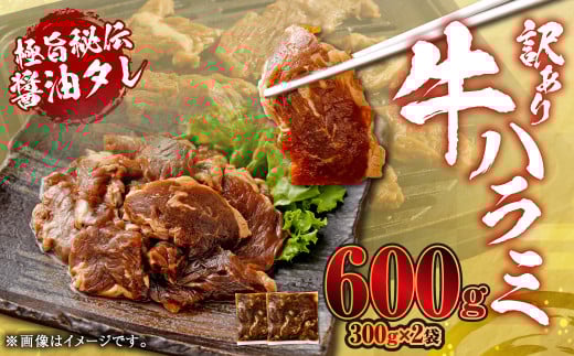 やわらか 牛ハラミ(サガリ)肉 極旨秘伝醤油タレ漬け 合計600g(300g×2袋)【訳あり】ハラミ 牛肉 ZS-6122鹿児島県薩摩川内市6000肉牛肉
