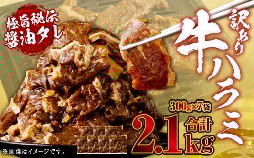 炩 n~iTKj Ɏ|`ݖ^Ђ v2.1kgi300g×7܁jy󂠂zn~  AS-578Fs15000