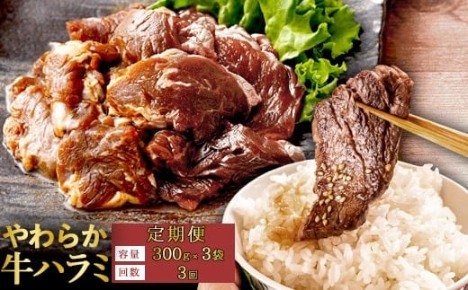 yRցzy󂠂z炩 n~iTKj Ɏ|`ݖ^Ђi300g×3܁jn~    ē BS-092 (ZS-803-0)Fs20000