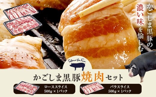 BS-004 かごしま黒豚焼き肉セット 1kg (ロース肉500g・バラ肉500g) 焼肉 薩摩八重ファーム 工房みかく亭鹿児島県薩摩川内市20000肉豚肉