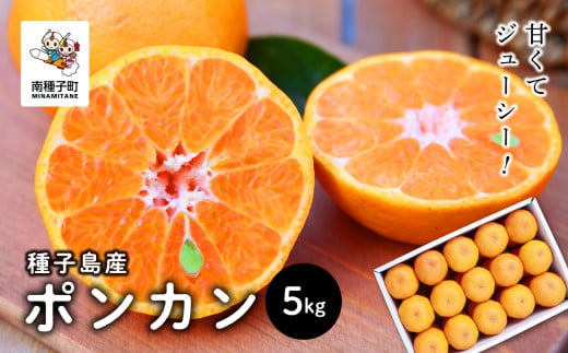 《先行予約》 《2025年12月中旬頃〜1月中旬頃順次発送》種子島産ポンカン5kg(24玉〜30玉)鹿児島県南種子町21000果物・フルーツみかん・柑橘類