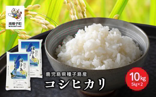 《令和7年産米》 新米 種子島産コシヒカリ 10kg 新米 米 お米 こめ コメ 精米 白米 コシヒカリ こしひかり 食品 グルメ お取り寄せ おすそわけ 人気 おすすめ ギフト 南種子町 鹿児島 かごしま