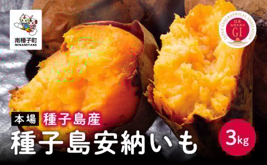 【先行予約】種子島 安納いも さつまいも 3kg 焼きいも 焼き芋 本場 安納芋  さつま芋 甘い ねっとり スイーツ おやつ グルメ お取り寄せ おせち 人気 種子島産 返礼品 南種子町 鹿児島 かご
