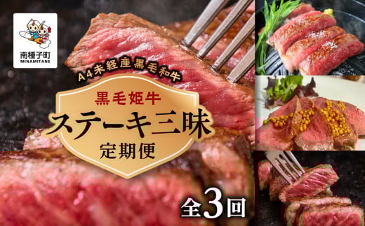【定期便】ステーキ三昧(全3回)鹿児島県南種子町105000肉牛肉