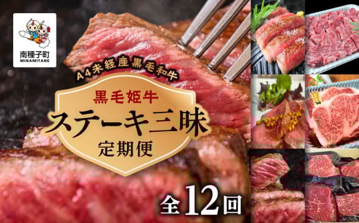 【定期便】ステーキ三昧(全12回)鹿児島県南種子町396000肉牛肉