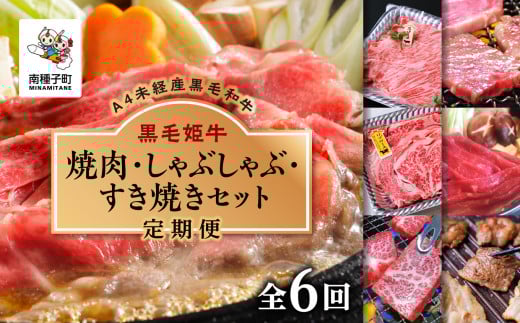 【定期便】焼肉・しゃぶしゃぶ・すき焼きセット(全6回)鹿児島県南種子町250000肉牛肉