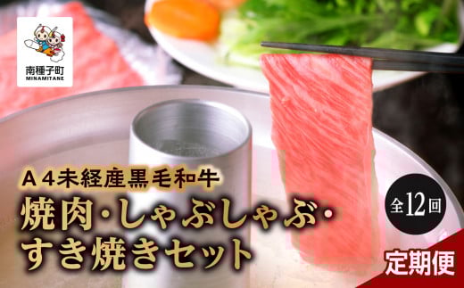 【定期便】焼肉・しゃぶしゃぶ・すき焼きセット(全12回)鹿児島県南種子町495000肉牛肉