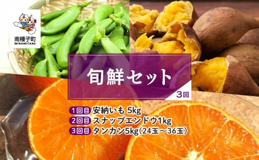 【先行予約】【定期便】 種子島 旬鮮セット 全3回 安納いも スナップエンドウ タンカン 人気 種子島産 返礼品 南種子町 鹿児島 かごしま 【のっちーよ種子島】鹿児島県南種子町46000野菜・