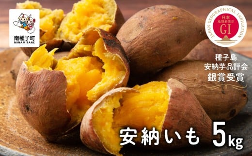 【先行予約】種子島 安納いも 5kg 人気 種子島産 返礼品 南種子町 鹿児島 かごしま 【のっちーよ種子島】鹿児島県南種子町16000野菜・きのこじゃがいも・イモ類
