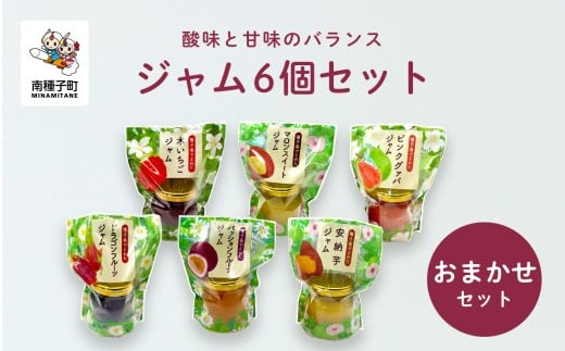ジャム6個セット(おまかせセット)鹿児島県南種子町21000鍋セット・総菜・加工食品ジャム・はちみつ