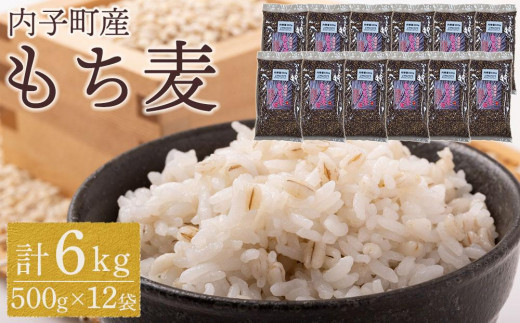 内子町産 もち麦(6kg)【食品 加工食品 人気 おすすめ 】愛媛県内子町34000米・パン玄米・雑穀米・もち米・餅