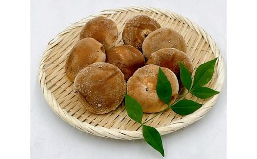 内子町産 生しいたけ(菌床栽培)約240g×2パック【野菜 やさい 食品 人気 おすすめ 】愛媛県内子町6000野菜・きのこきのこ