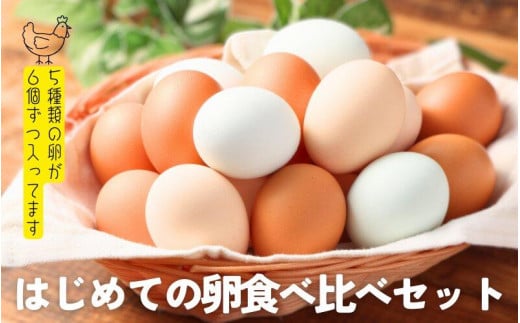 はじめての卵 食べ比べセット 6個×5種類(内割れ保証5個、各種1個づつ)愛媛県内子町8000卵・乳製品卵(鶏、烏骨鶏等)