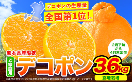 デコポン ご家庭用 露地デコポン 約3.6kg(9‐18玉前後) 訳あり 熊本県産 柑橘 個別光センサー選果 柑橘 不知火 みかん《2月下旬-4月末頃出荷》 st-p熊本県津奈木町17000果物・フルーツみかん・柑