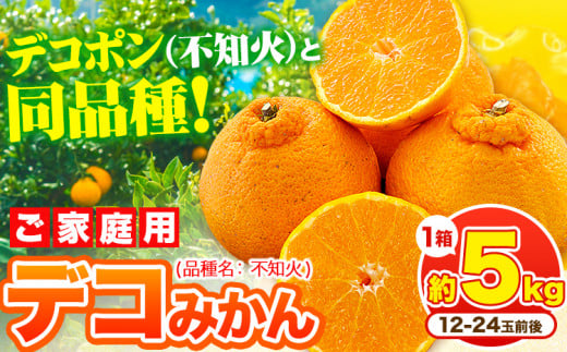 デコポン ( 不知火 )と同品種!デコみかん 熊本県産 (津奈木町産含む) 訳あり 約5kg前後(12-24玉前後) 柑橘《2月中旬-4月末頃出荷》 みかん フルーツ 不知火 先行予約 訳あり 訳アリ ご家庭用 で