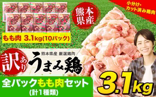鶏肉 うまみ鶏 全パックもも肉セット(計1種類) 合計3.1kg 冷凍 小分け 《7-14日以内に出荷予定(土日祝除く)》 肉 若どり もも モモ 個包装 熊本県産 鶏肉 モモ肉 鶏モモ モモ肉 冷凍 冷凍鶏肉 冷