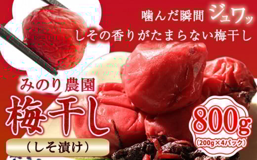 うめぼし 800g (しそ漬け)《30日以内に出荷予定(土日祝除く)》熊本県 葦北郡 津奈木町 梅 梅干し 天日干し みのり農園熊本県津奈木町8500鍋セット・総菜・加工食品漬物・梅干・キムチ