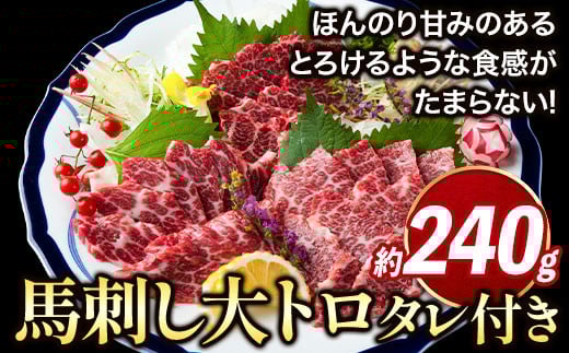 鮮馬刺し大トロ 約240g タレ付き 馬肉 冷凍 《60日以内に出荷予定(土日祝除く)》 新鮮 さばきたて 生食用 肉 熊本県葦北郡津奈木町 馬刺し 馬肉 希少部位熊本県津奈木町33500肉ジビエ