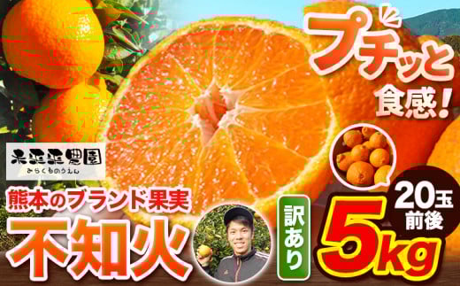 不知火 訳あり 先行予約 熊本のブランド果実 不知火 約 5kg 20玉前後 デコポン と同品種 でこぽん フルーツ フルーツ みかん ミカン 柑橘 しらぬい 未来来農園 《2026年4月上旬-4月下旬頃出荷》