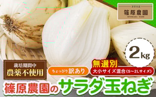 訳あり 栽培期間中 農薬不使用 サラダ玉ねぎ (S-2Lサイズ) 2kg《2月中旬-3月下旬頃出荷》熊本県 葦北郡 津奈木町 篠原農園 野菜 玉ねぎ たまねぎ 自然栽培 大小サイズ混合 ちょっと訳あり熊本