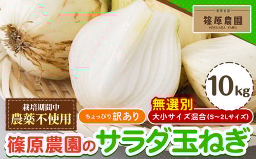 訳あり 栽培期間中 農薬不使用 サラダ玉ねぎ (S-2Lサイズ) 10kg《2月中旬-3月下旬頃出荷》熊本県 葦北郡 津奈木町 篠原農園 野菜 玉ねぎ たまねぎ 自然栽培 大小サイズ混合 ちょっと訳あり熊本