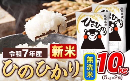 新米 令和7年産  無洗米 ひのひかり 10kg 《10月中旬-12月末頃出荷》令和7年産 熊本県産 ふるさと納税 精米 ひの 米 こめ ふるさとのうぜい ヒノヒカリ コメ お米 おこめ熊本県津奈木町23500米・