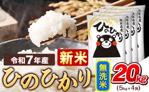 新米 令和7年産  無洗米 ひのひかり 20kg《10月中旬-12月末頃出荷》令和7年産 熊本県産 ふるさと納税 精米 ひの 米 こめ ふるさとのうぜい ヒノヒカリ コメ お米 おこめ熊本県津奈木町45500米・