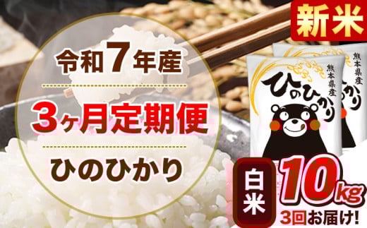 新米 令和7年産【3ヵ月定期便】 白米 ひのひかり 定期便 10kg 5kg×2袋《11月から出荷開始》 熊本県産 精米 ひの 米 こめ ヒノヒカリ コメ お米熊本県津奈木町70500米・パン白米