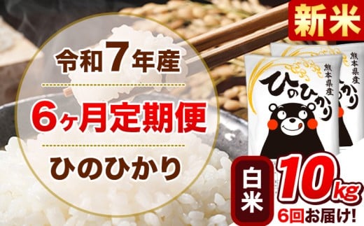 新米 令和7年産 【6ヵ月定期便】 白米 ひのひかり 定期便 10kg 5kg×2袋《11月から出荷開始》 熊本県産 精米 ひの 米 こめ ヒノヒカリ コメ お米熊本県津奈木町141000米・パン白米