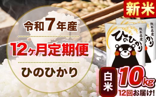 新米 令和7年産【12ヵ月定期便】 白米 ひのひかり 定期便 10kg 5kg×2袋《11月から出荷開始》 熊本県産 精米 ひの 米 こめ ヒノヒカリ コメ お米熊本県津奈木町282000米・パン白米