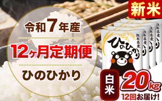 新米 令和7年産【12ヵ月定期便】 白米 ひのひかり 定期便 20kg 5kg×4袋《11月から出荷開始》 熊本県産 精米 ひの 米 こめ ヒノヒカリ コメ お米熊本県津奈木町546000米・パン白米