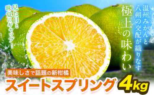スイートスプリング 4kg 熊本県産  旬 の みかん 熊本産 取り寄せ (3L〜Sサイズ/3L-S混合) 《12月下旬〜1月下旬出荷》熊本県 津奈木町 柑橘 希少品種 スイートスプリング 柑橘 果物 スイスプ 旬