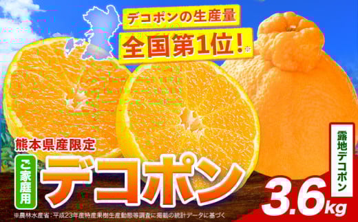 露地デコポン 約3.6kg(9-18玉前後)《2026年2月中旬-3月末頃出荷》 柑橘 不知火 デコポン みかん フルーツ 果物 旬 ご家庭用 訳あり みかん 好き必見熊本県津奈木町12000果物・フルーツみかん・柑