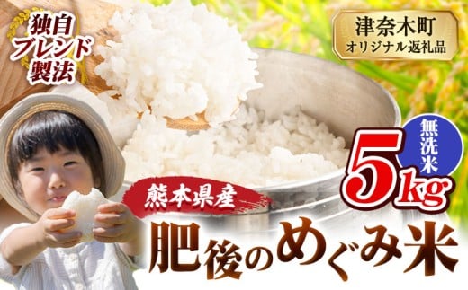 無洗米 熊本県産 ブレンド米 肥後のめぐみ米 5kg 熊本県産 ふるさと納税 精米 米 こめ ふるさとのうぜい コメ お米 おこめ《10月中旬-12月末頃出荷》熊本県津奈木町11500米・パン白米