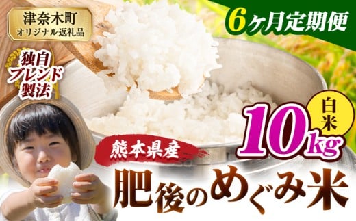 【6ヶ月定期便】白米 熊本県産 ブレンド米 肥後のめぐみ米 10kg 熊本県産 ふるさと納税 精米 米 こめ ふるさとのうぜい コメ お米 おこめ《11月から出荷開始》熊本県津奈木町135000米・パン白