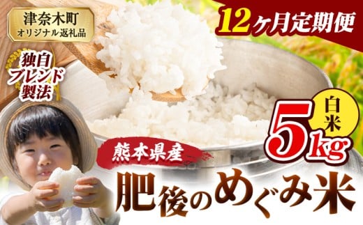 【12ヶ月定期便】白米 熊本県産 ブレンド米 肥後のめぐみ米 5kg 熊本県産 ふるさと納税 精米 米 こめ ふるさとのうぜい コメ お米 おこめ《11月から出荷開始》熊本県津奈木町138000米・パン白