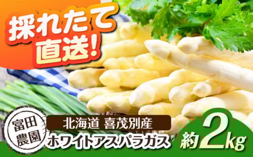 【2026年分予約開始!】喜茂別産 採れたて!ホワイトアスパラガス 約2kg 《喜茂別町》【富田農園/スプレス】 アスパラ アスパラガス ホワイトアスパラガス 季節の野菜 春野菜 先行予約 北海