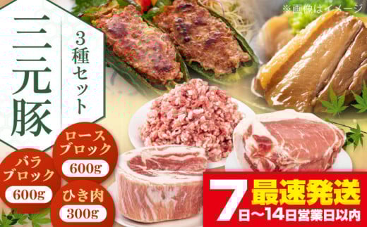 cq ؓ 3ZbgsΕʒtycqz  ؓ ubN Xe[L Xe[Lp [X o Ƃ񂩂 ~` ؃~` ϓ p Ⓚz kC cq O Zbg [AJAP009]